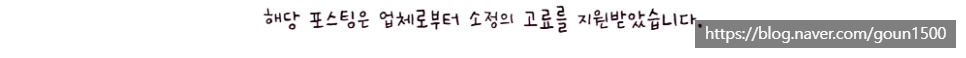 옐레드 애견유치원 창업, 강아지 사회화 교육 노하우