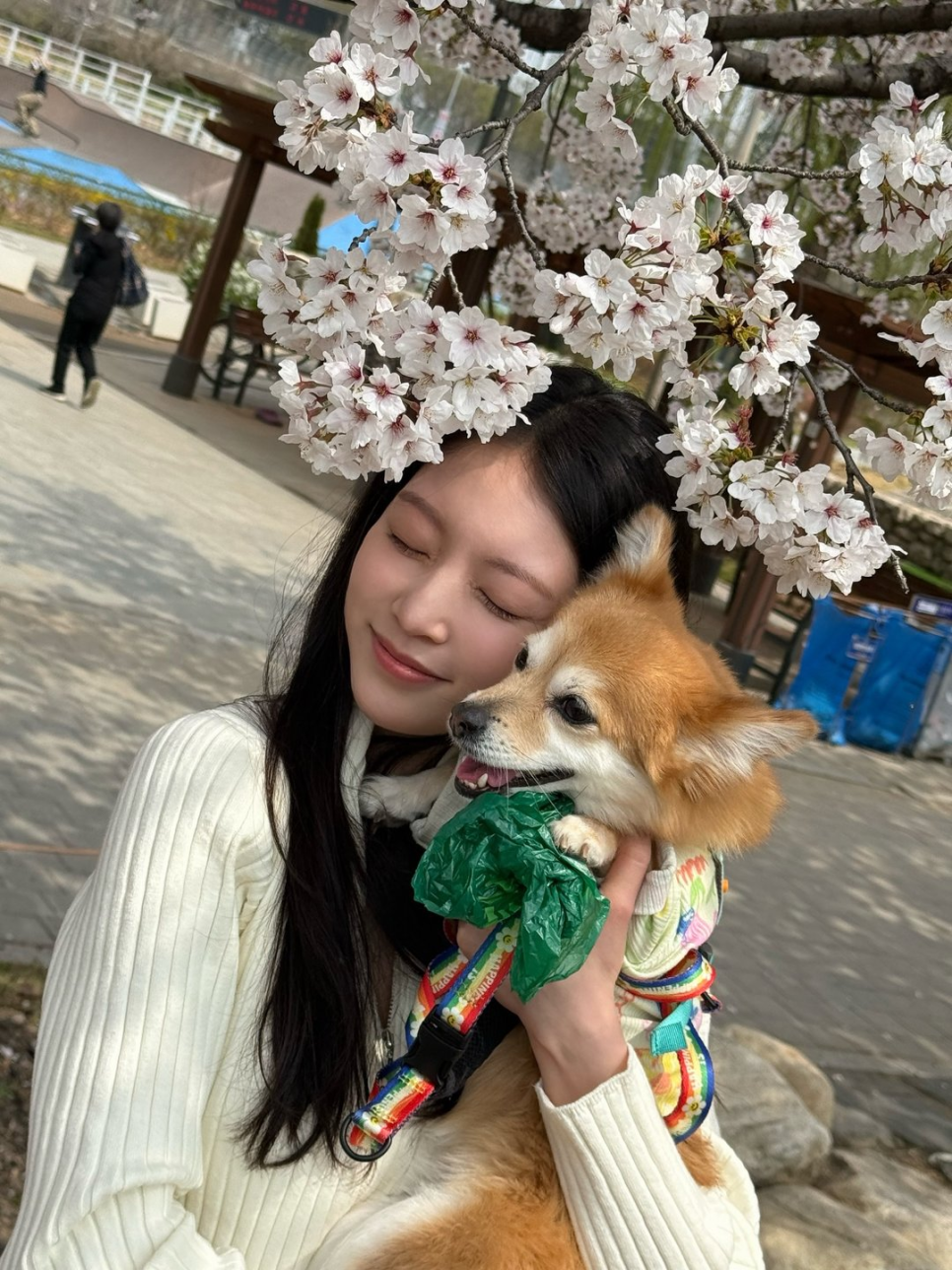 변우석 연기력 논란, 논란이 쉽게 가라앉지 않는 이유 이미지 3