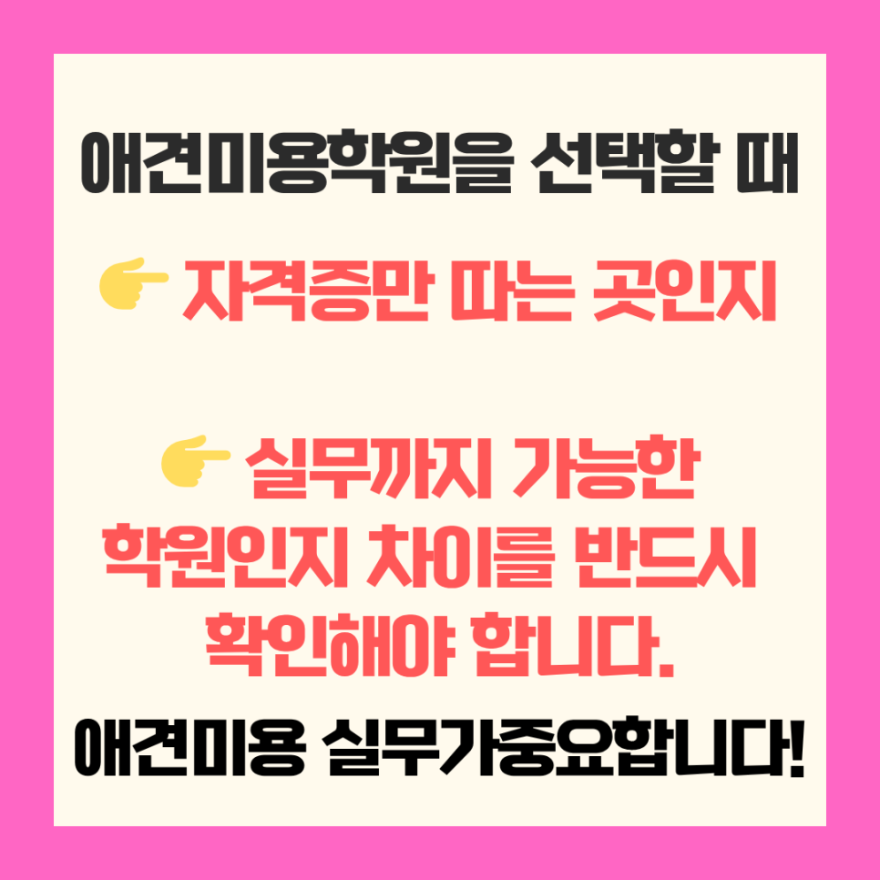고덕 애견미용학원: 실무 중심 교육으로 취업/창업 성공하기 — 사진 2