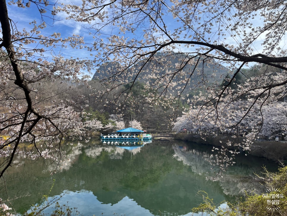 마이산청소년야영장 몽골텐트 사진 2