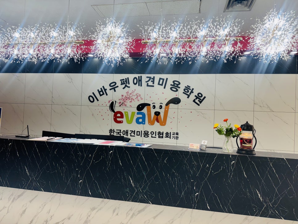 고덕 애견미용학원: 실무 중심 교육으로 취업/창업 성공하기 — 사진 5