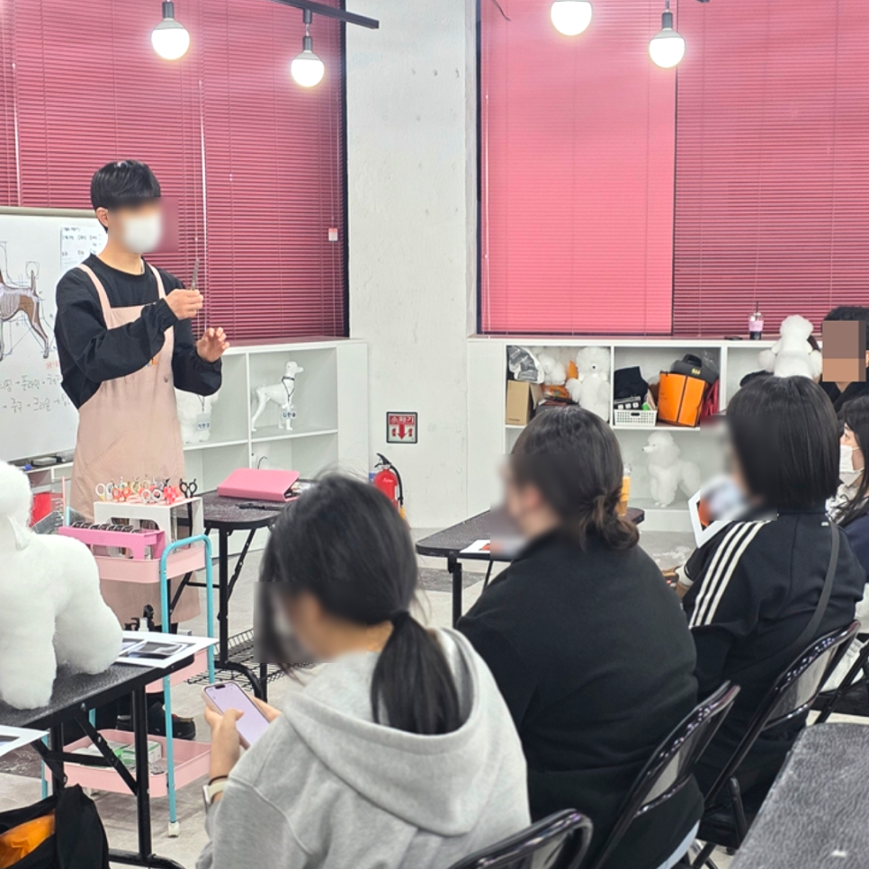 강남 애견미용학원 자격증 취득 비용 및 과정 완벽 분석 — 사진 2