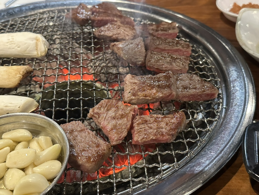달구벌뭉티기 사진 5