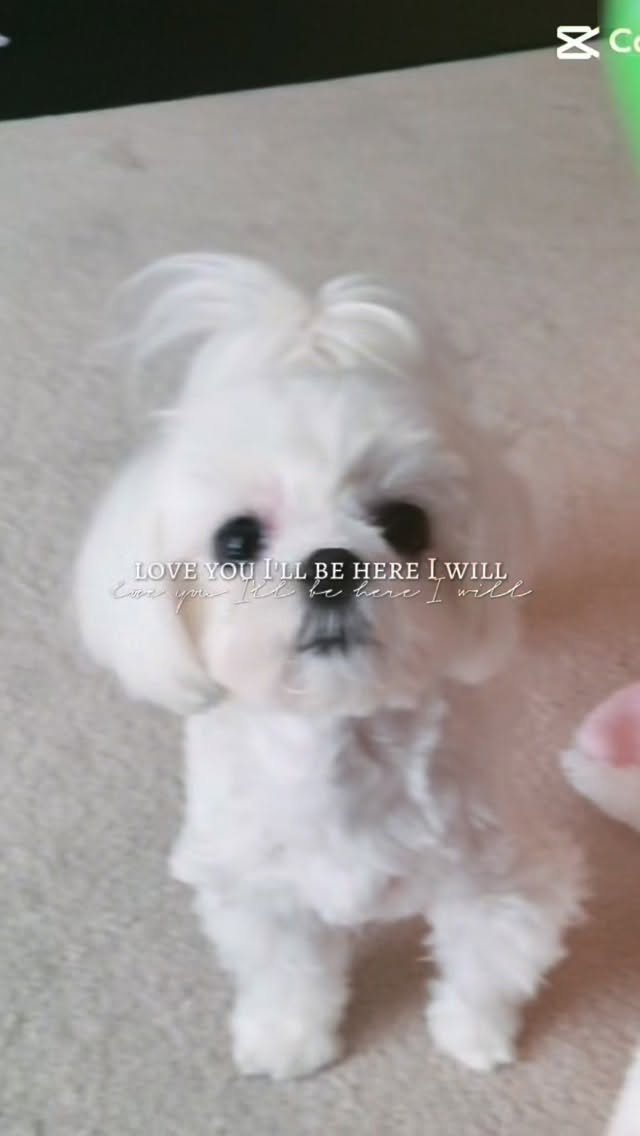 가수 지나, 이 말 이후 분위기 바뀌었다 이미지 4