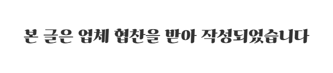 숲속의옹달샘펜션 사진 1
