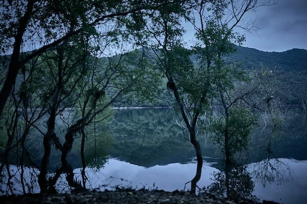 김혜윤·장다아, 지금 더 주목받는 기록의 이유 이미지 6