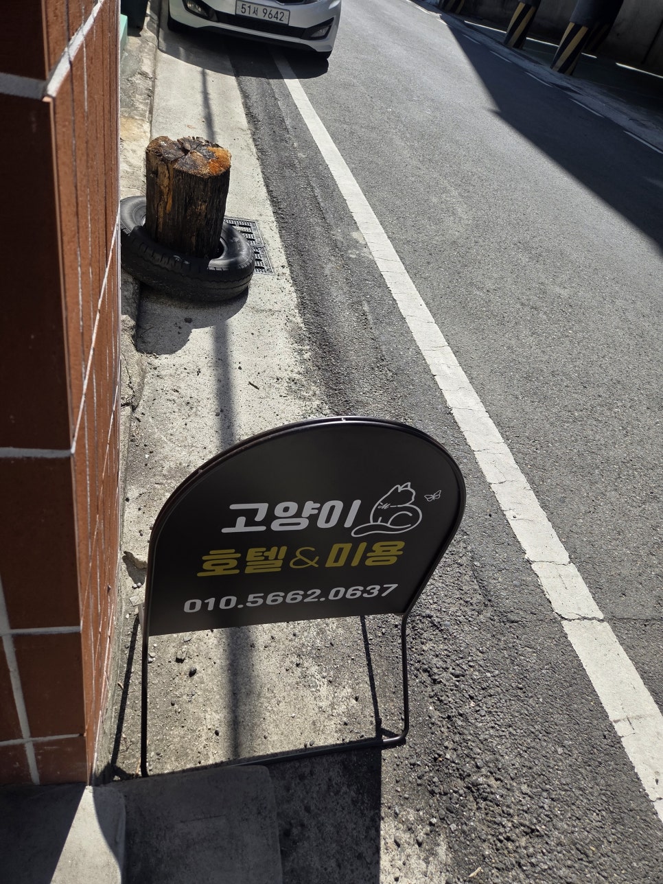 대구 고양이 무마취 미용, 스파 후기 (무냥무냥 원대점) — 사진 6