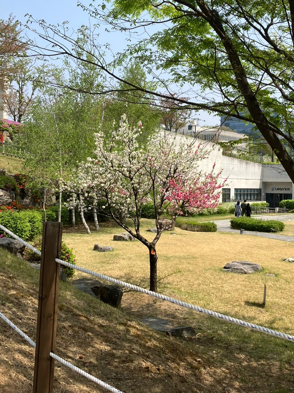 보스턴수제버거 연세대점 사진 3