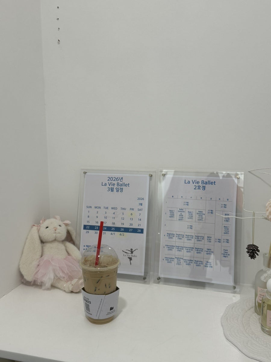 마포구청 발레 1:1 취미 레슨 후기 (라비에스튜디오) — 사진 6