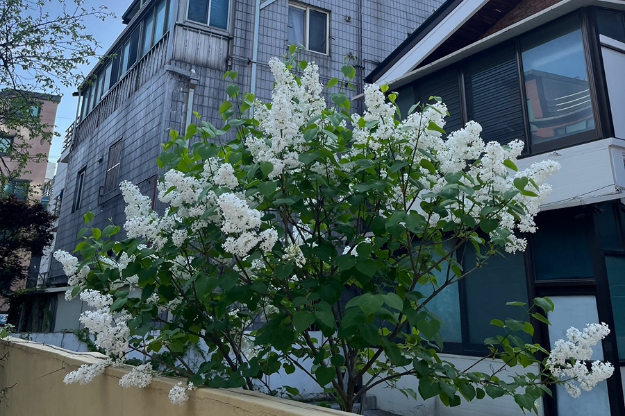 집밥엄마손 사진 8