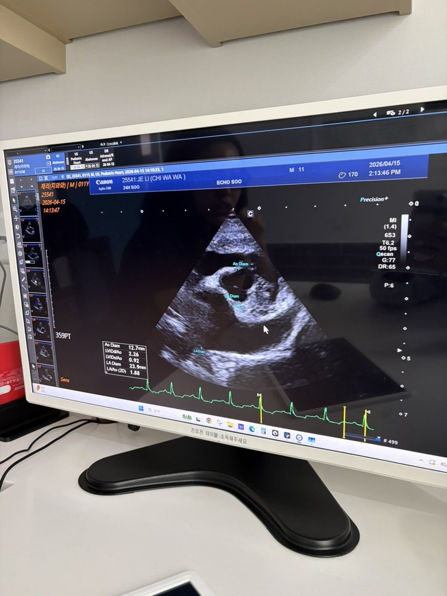강아지 목디스크 MRI 진단, 24시수동물병원 비용 및 후기 — 사진 11
