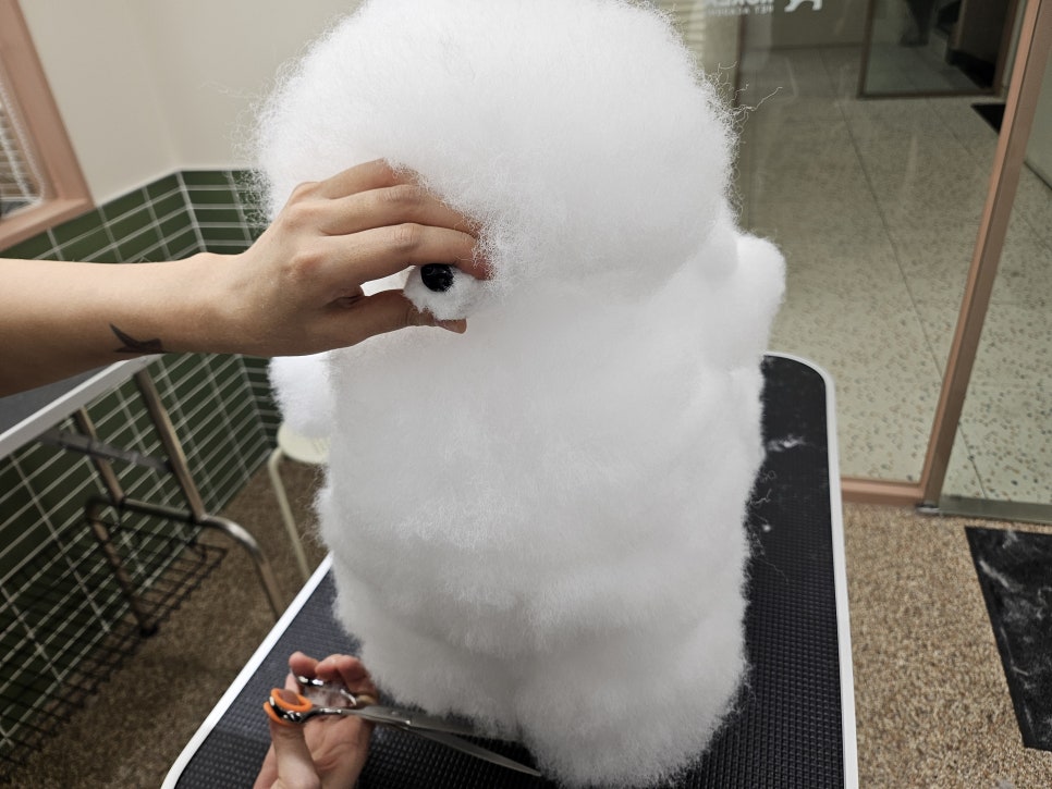 서초 애견미용학원: 자격증부터 취업·창업까지 완벽 대비 — 사진 4