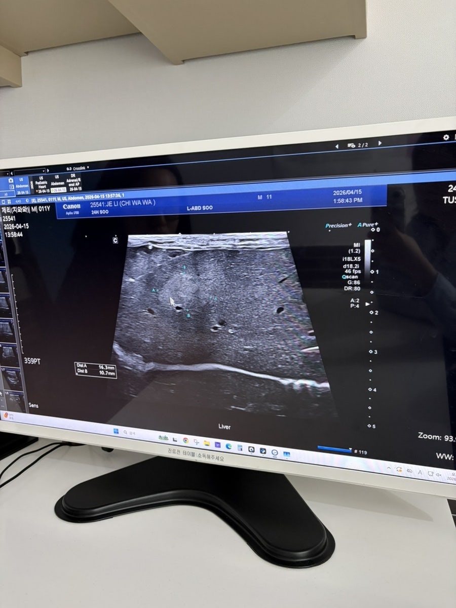 강아지 목디스크 MRI 진단, 24시수동물병원 비용 및 후기 — 사진 8