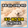 대구 강아지 장례 비용, 절차, 합법 기준 완벽 가이드