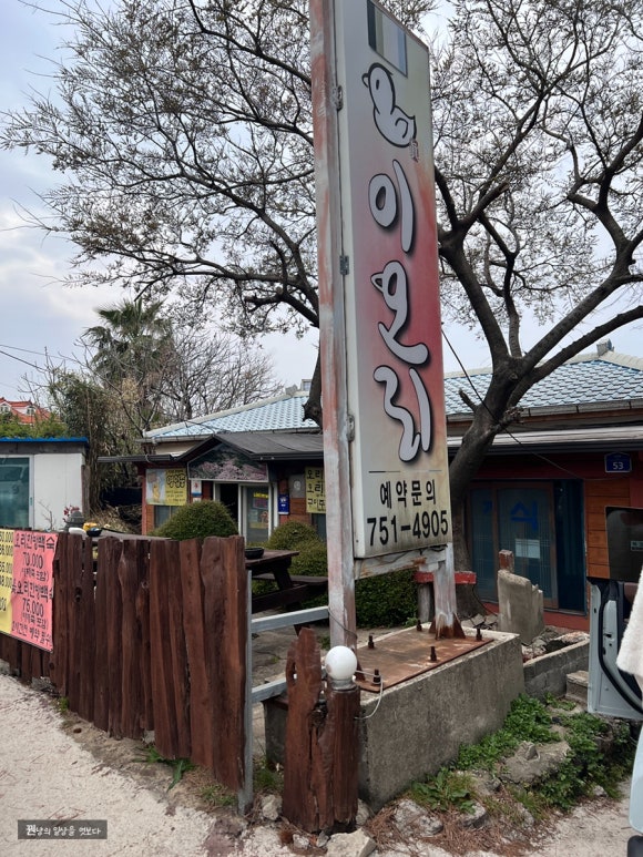 이오리 사진 7