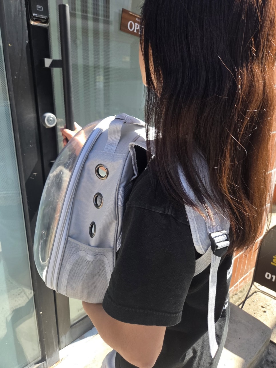 대구 고양이 무마취 미용, 스파 후기 (무냥무냥 원대점) — 사진 5