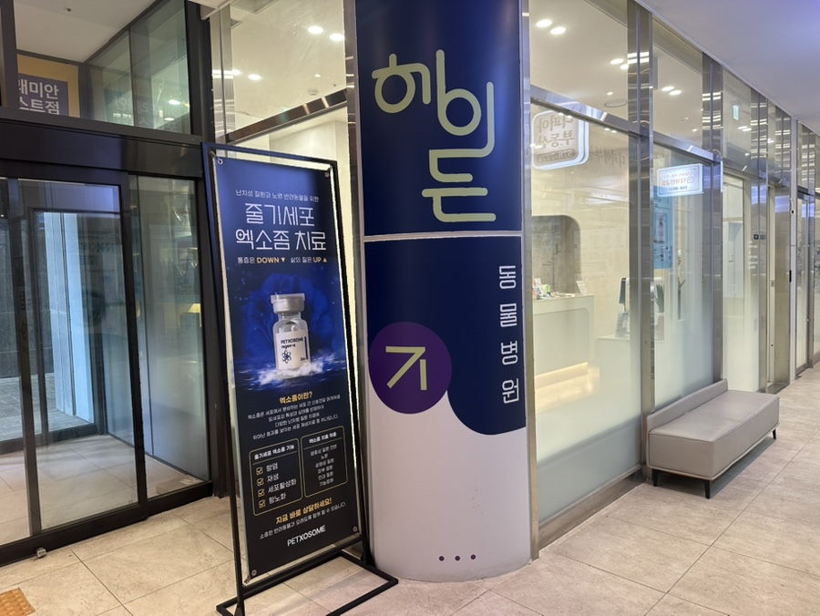 강아지 엑소좀 치료, 헤이든동물병원에서 노령견 건강 되찾기 — 사진 2