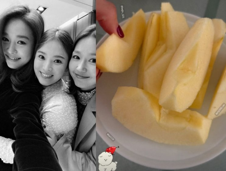 이진, 뉴욕댁에서 한국 완전 복귀, 뒤늦게 더 화제가 되는 이유 이미지 6