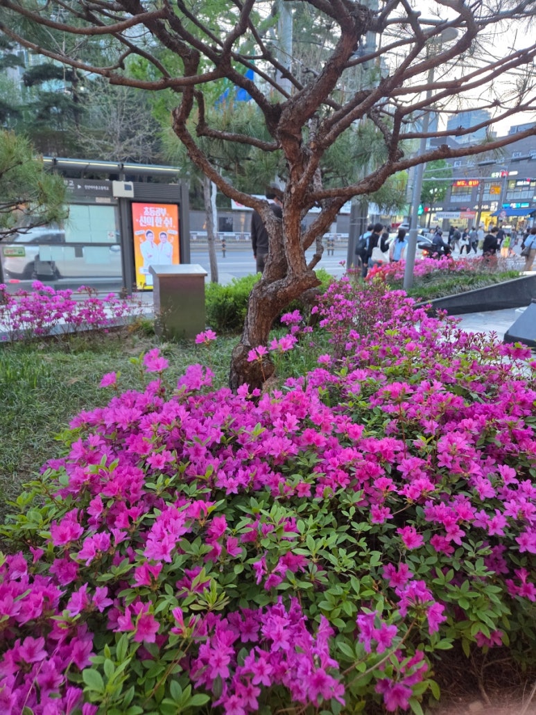 깐부치킨 한티점 사진 7