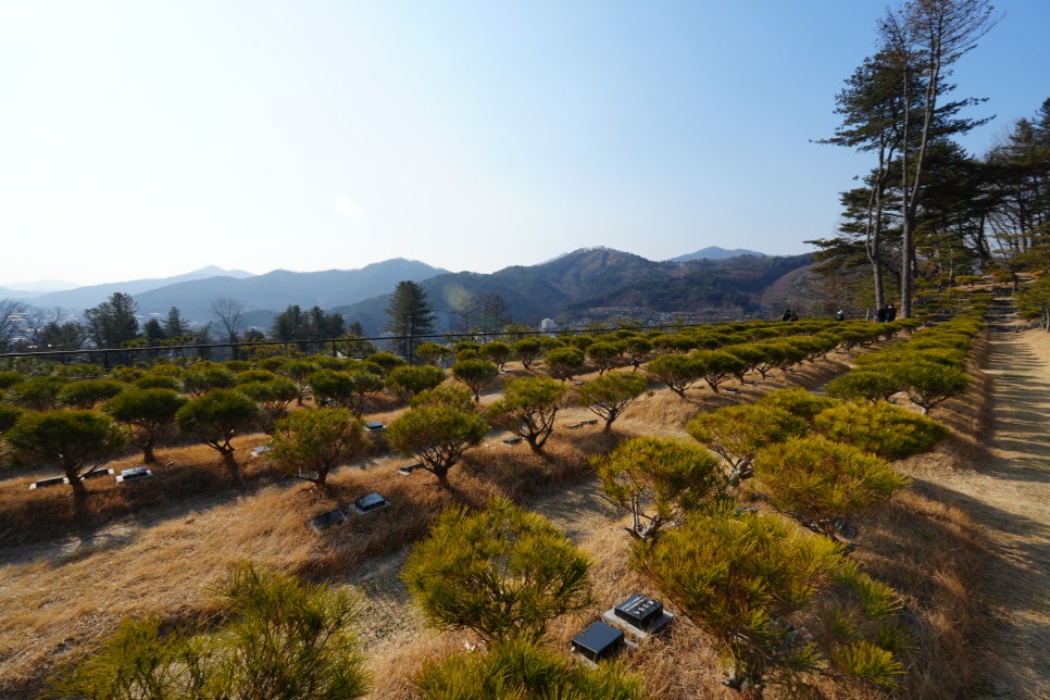 남양주 무량수목장 현장 답사 '장례컨설팅 전문가에게 알아본 경기도수목장' 이미지 12