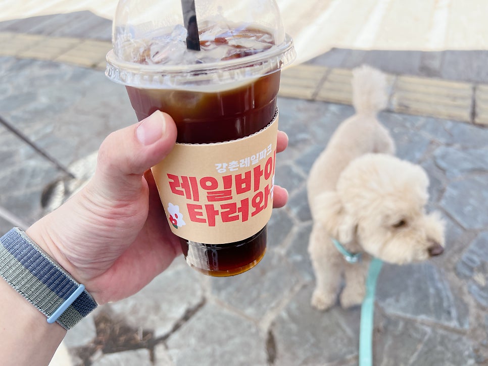 경강 레일바이크, 강아지와 함께하는 특별한 여행 — 사진 9