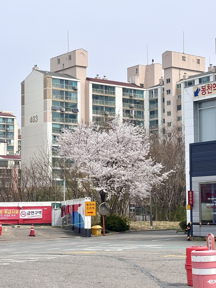 죽전휴게소 자율식당 사진 2