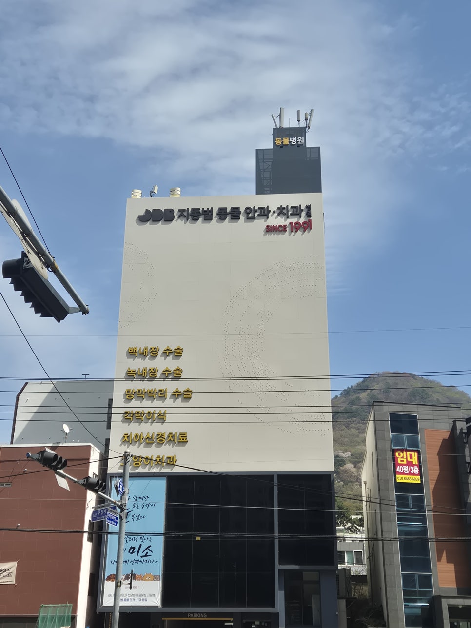 부산 강아지 백내장·녹내장 수술 전문 동물병원 비용 안내