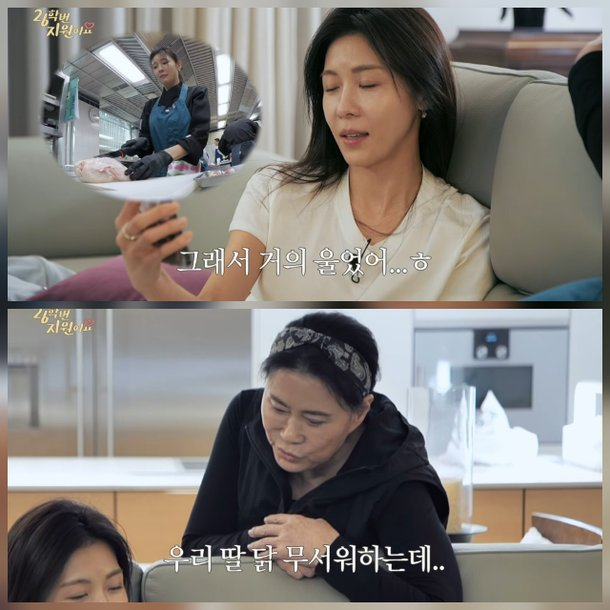 하지원 母 얼굴 공개, 요즘 다시 관심이 몰리는 이유 이미지 5