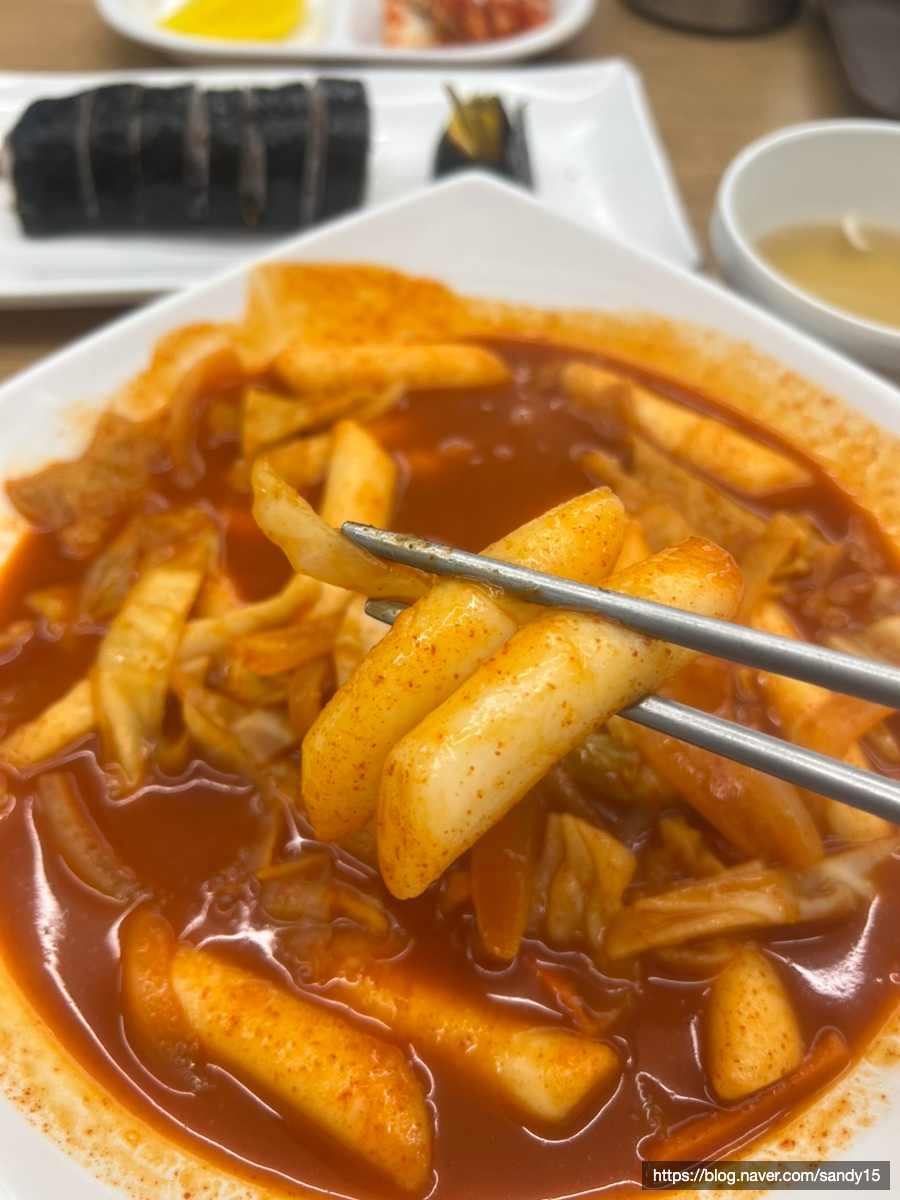소풍 사진 5
