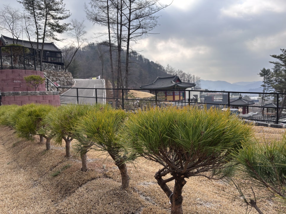남양주 무량수목장 현장 답사 '장례컨설팅 전문가에게 알아본 경기도수목장' 이미지 5