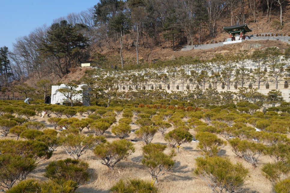 남양주 무량수목장 현장 답사 '장례컨설팅 전문가에게 알아본 경기도수목장' 이미지 14