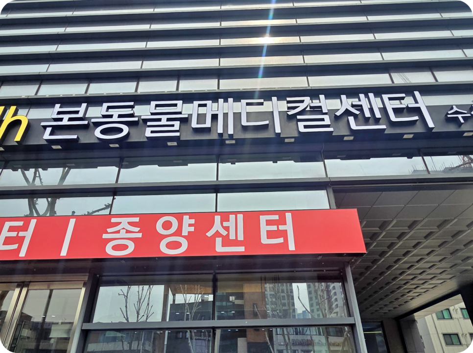 대구 강아지 간종양 수술, 본동물메디컬센터 수성점 후기 — 사진 3
