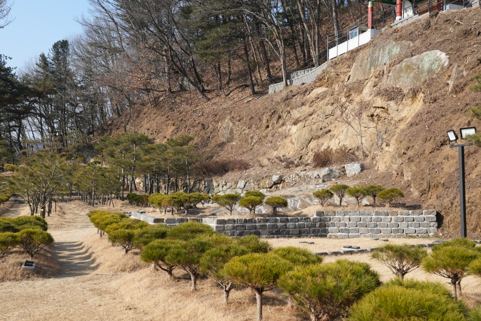 남양주 무량수목장 현장 답사 '장례컨설팅 전문가에게 알아본 경기도수목장' 이미지 7
