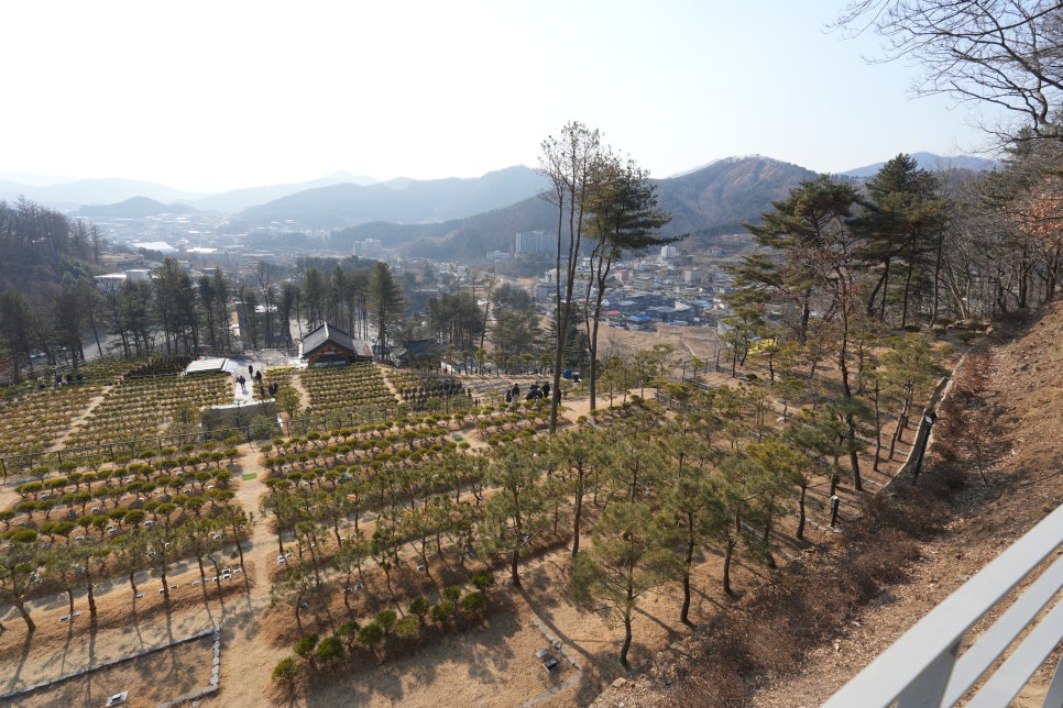 남양주 무량수목장 현장 답사 '장례컨설팅 전문가에게 알아본 경기도수목장' 이미지 13