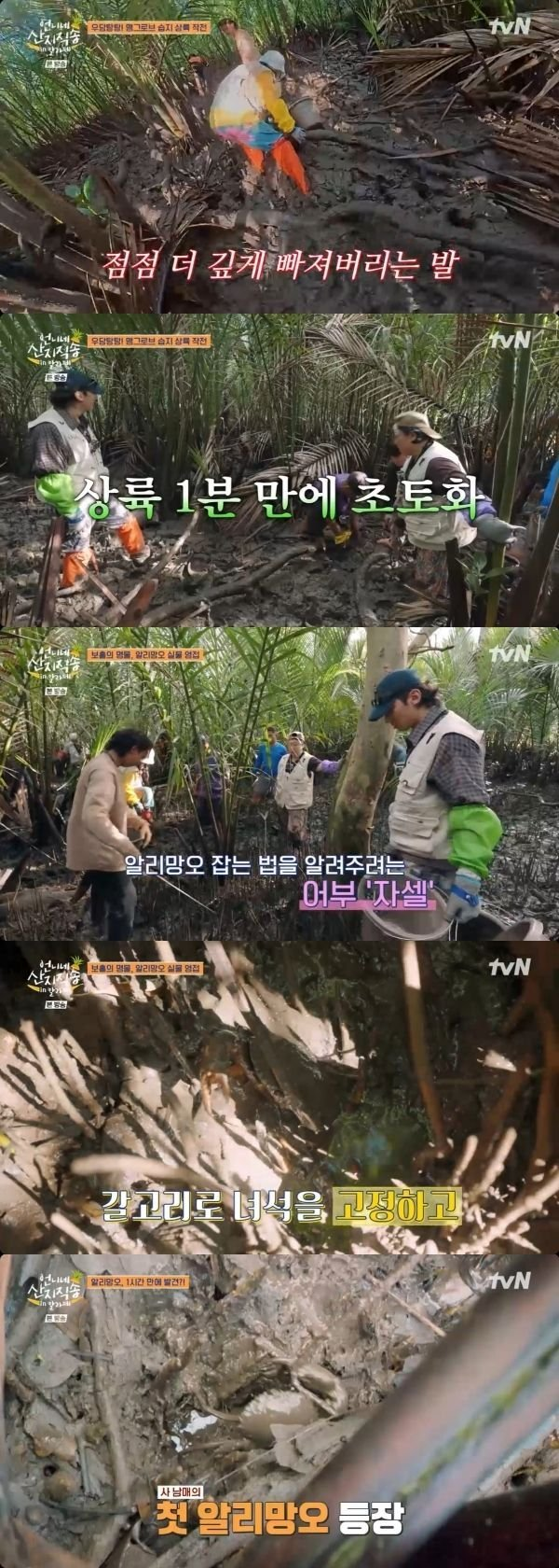덱스 김혜윤 츤데레 오빠 대화, 지금 다시 화제가 된 결정적 이유 이미지 3