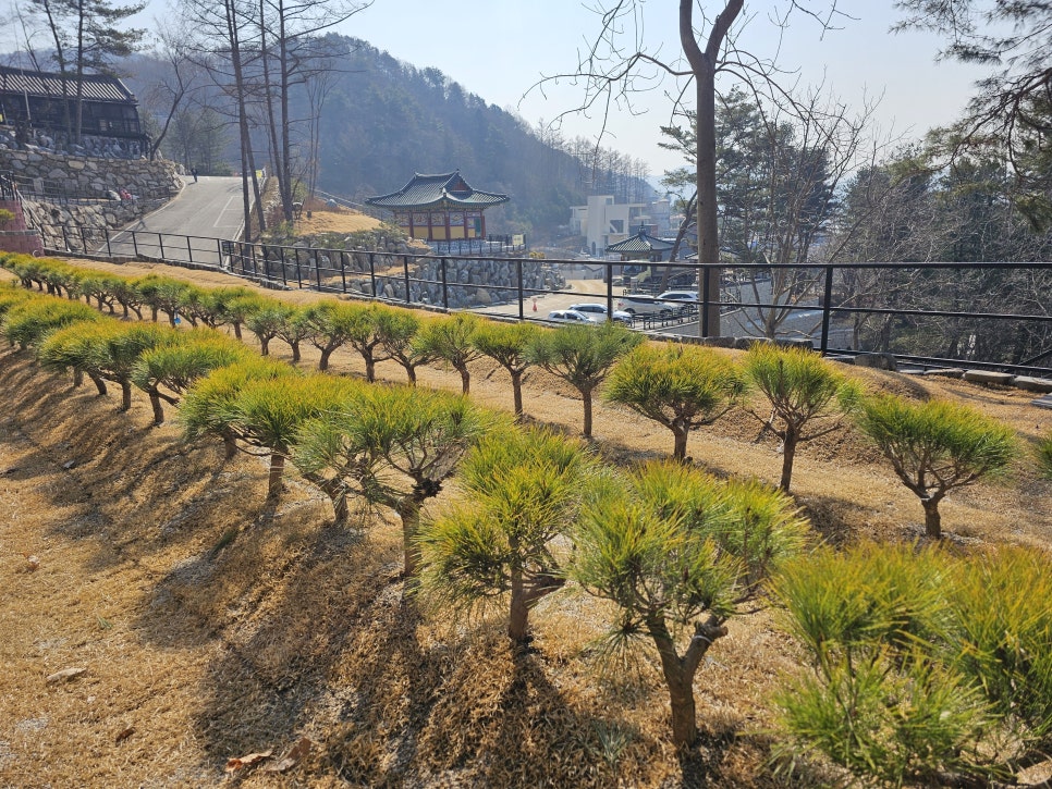 남양주 무량수목장 현장 답사 '장례컨설팅 전문가에게 알아본 경기도수목장' 이미지 6