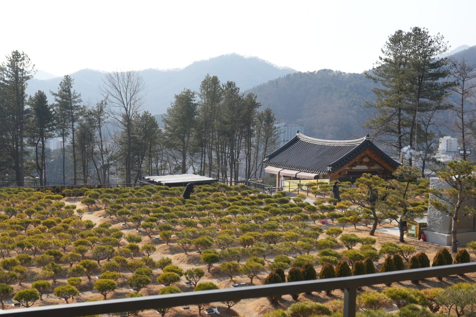 남양주 무량수목장 현장 답사 '장례컨설팅 전문가에게 알아본 경기도수목장' 이미지 10