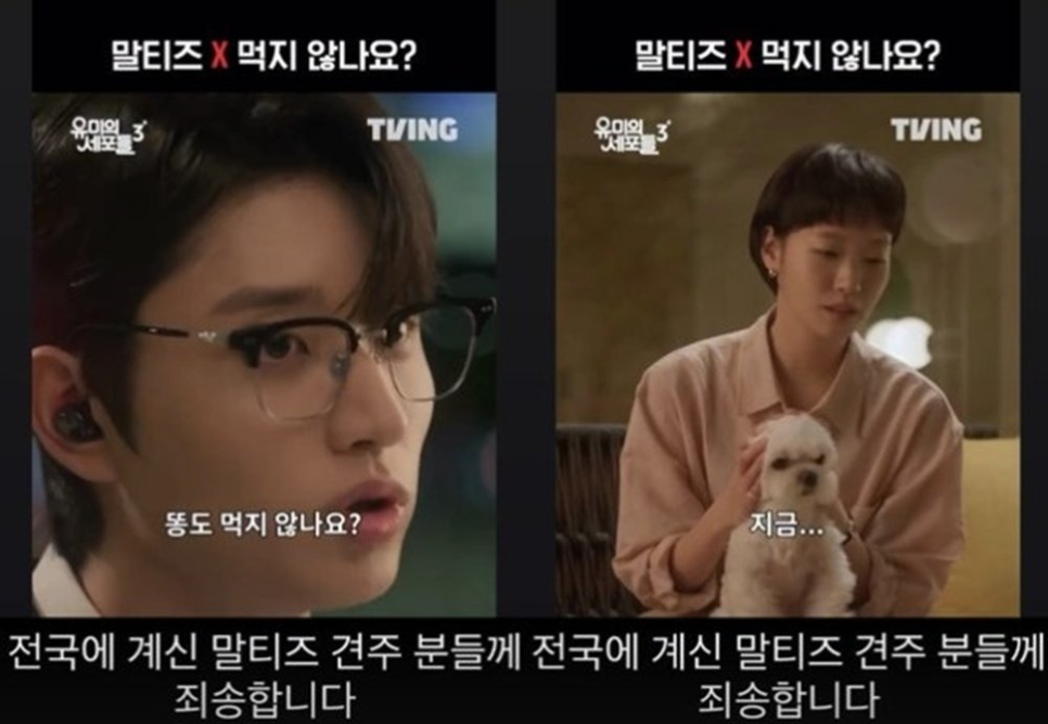 김재원 말티즈 때문 시청률 발언 이미지 3