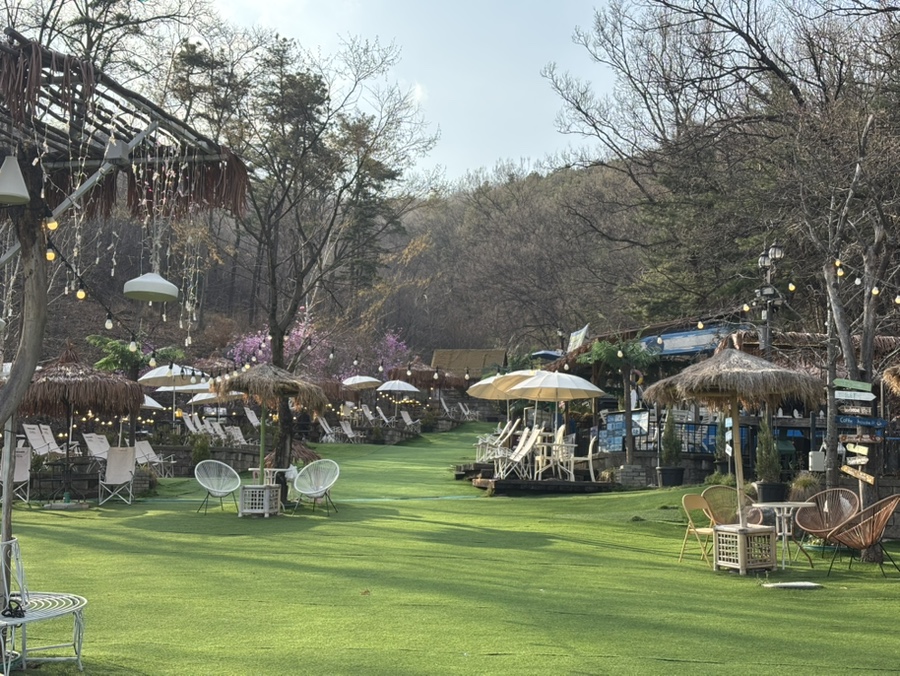 용인 컨츄리독 힐링파크, 넓은 운동장 애견카페 후기 — 사진 6