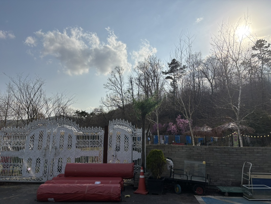 용인 컨츄리독 힐링파크, 넓은 운동장 애견카페 후기 — 사진 3