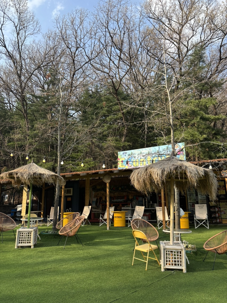 용인 컨츄리독 힐링파크, 넓은 운동장 애견카페 후기 — 사진 8