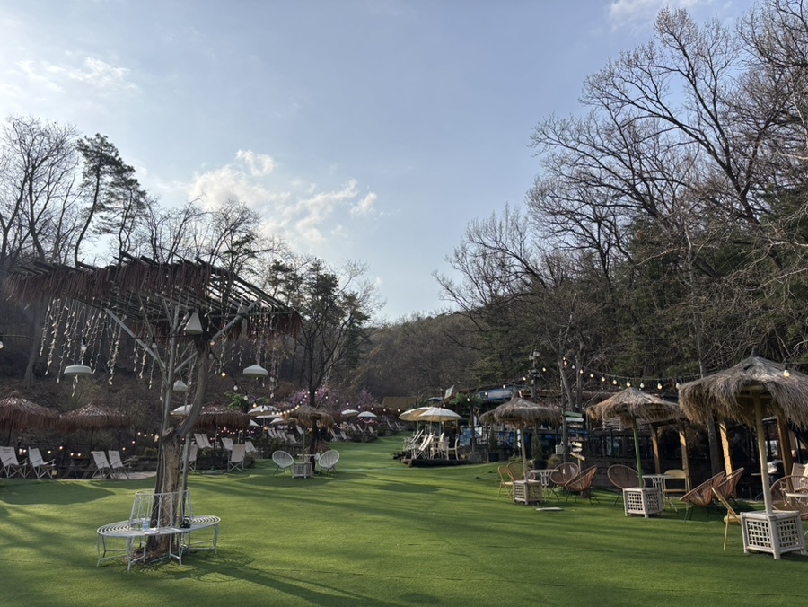 용인 컨츄리독 힐링파크, 넓은 운동장 애견카페 후기 — 사진 7