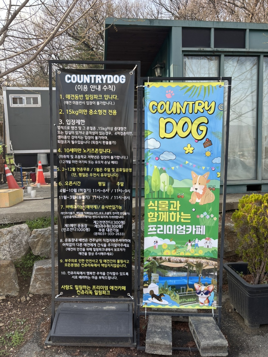 용인 컨츄리독 힐링파크, 넓은 운동장 애견카페 후기 — 사진 4