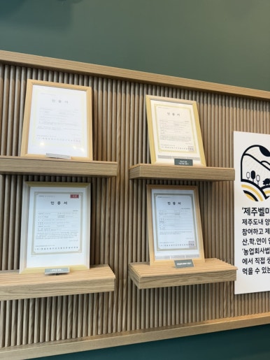 제주벨미 협재점 사진 2