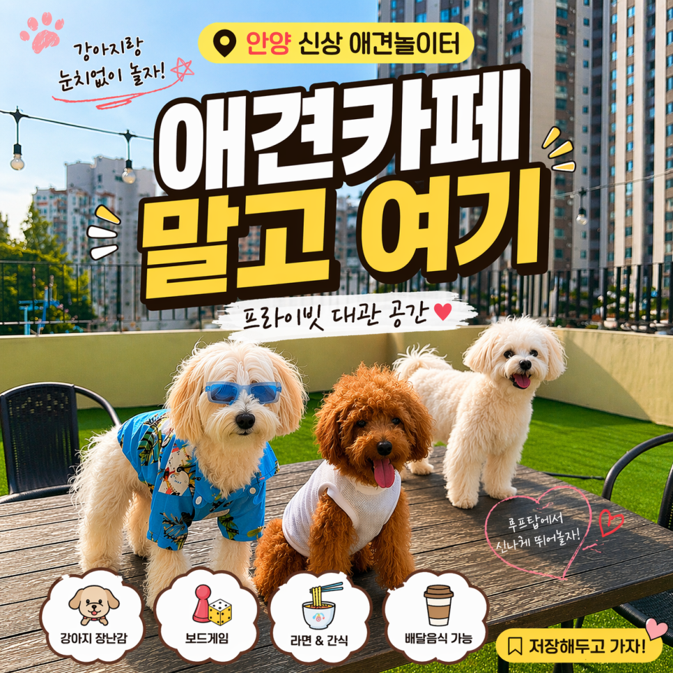 안양 멍루프 애견놀이터 대관 후기: 강아지 모임 최적 장소