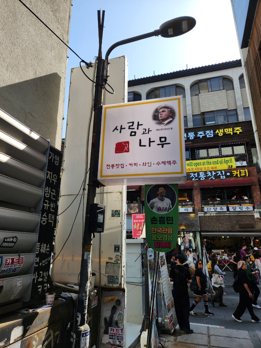 사람과나무 사진 8