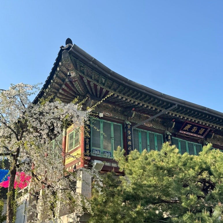 봉은사 서래원 사진 5