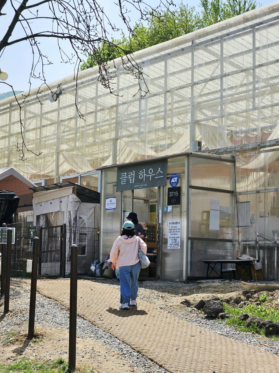 하남 애견동반 글램핑 비욘더팜, 셀프 바베큐 후기 — 사진 6