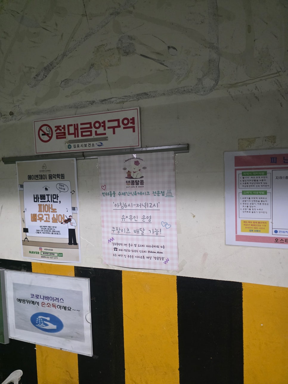 김포 댕콤달콤 강아지 생일 케이크 후기 — 사진 3