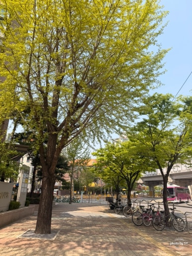 깐부치킨 용산리첸시아점 사진 8
